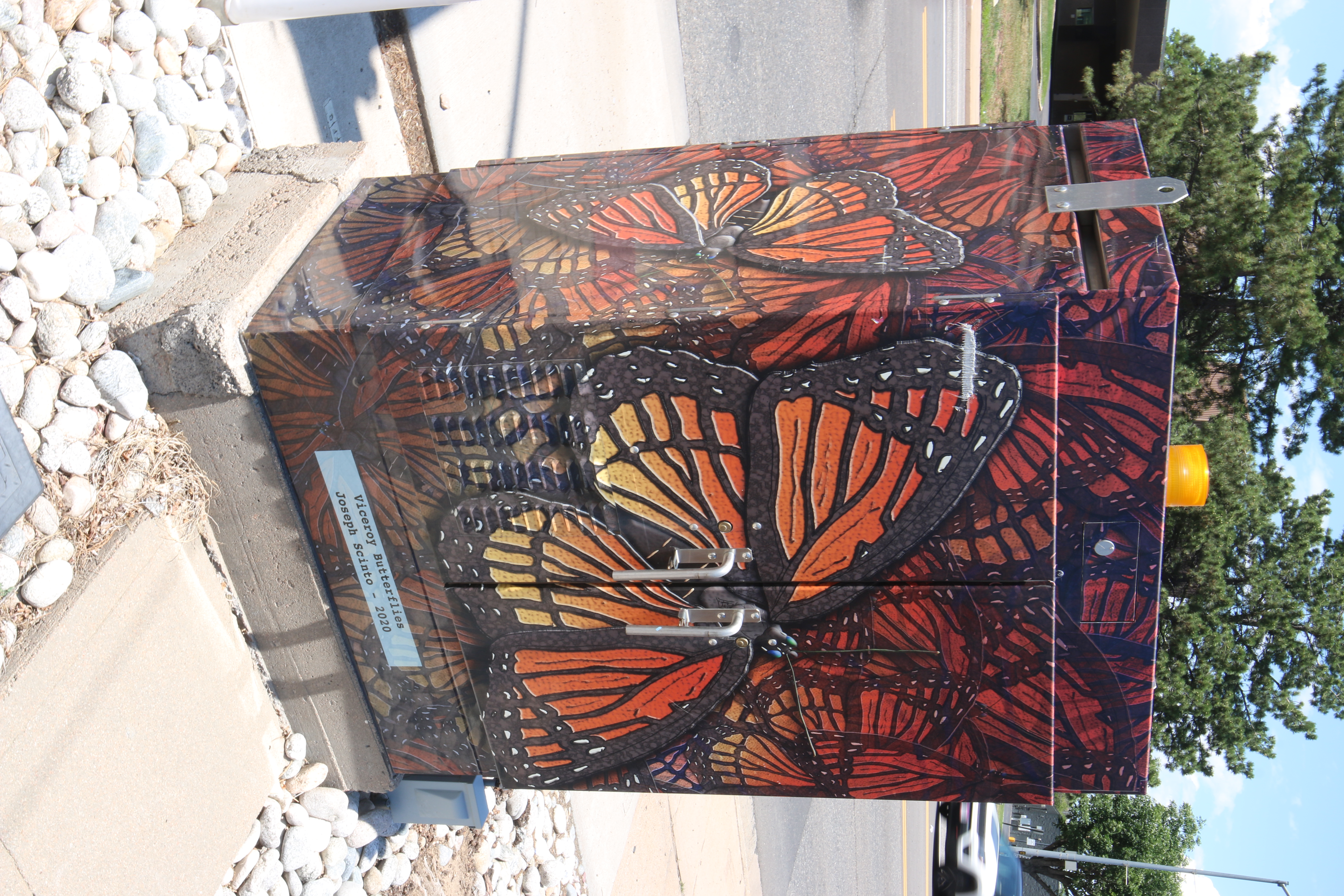 Butterflies
